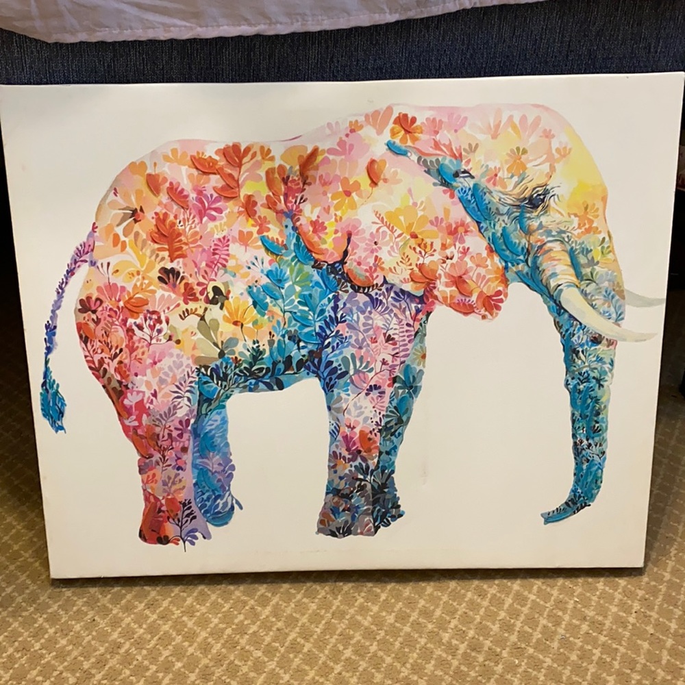 🐘 paint frame